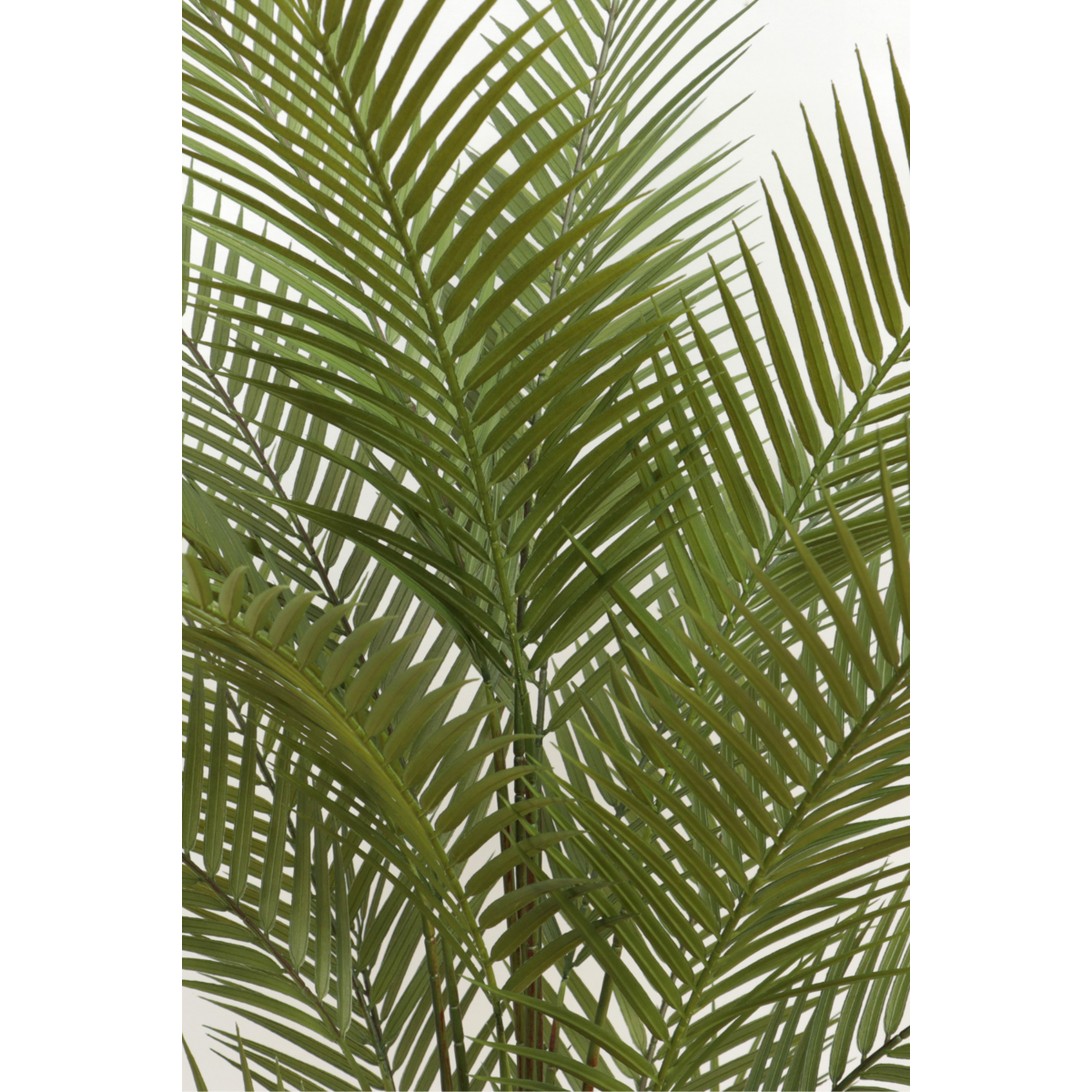 Kunstpalm 150 cm