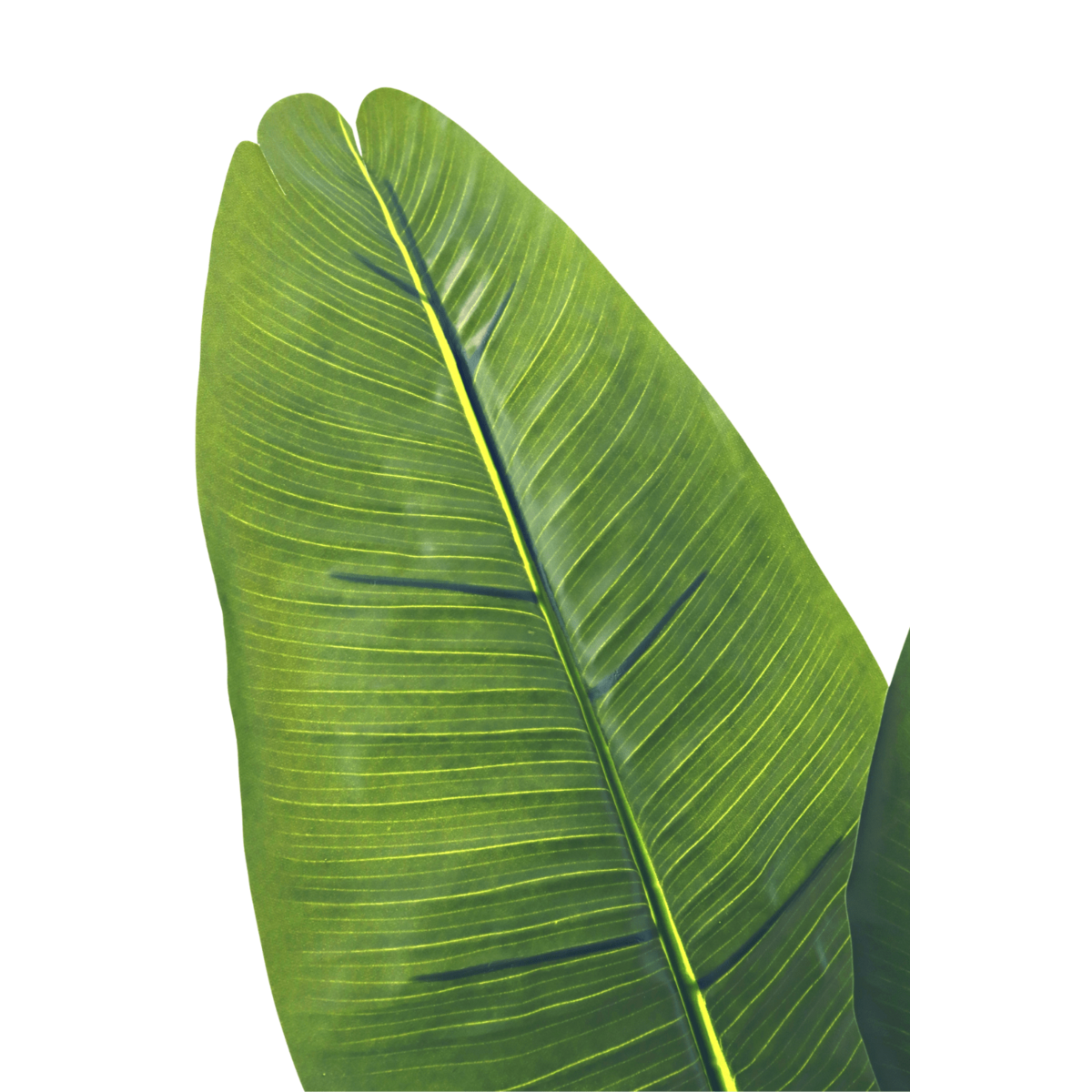 Bananenplant kunstplant 150 cm