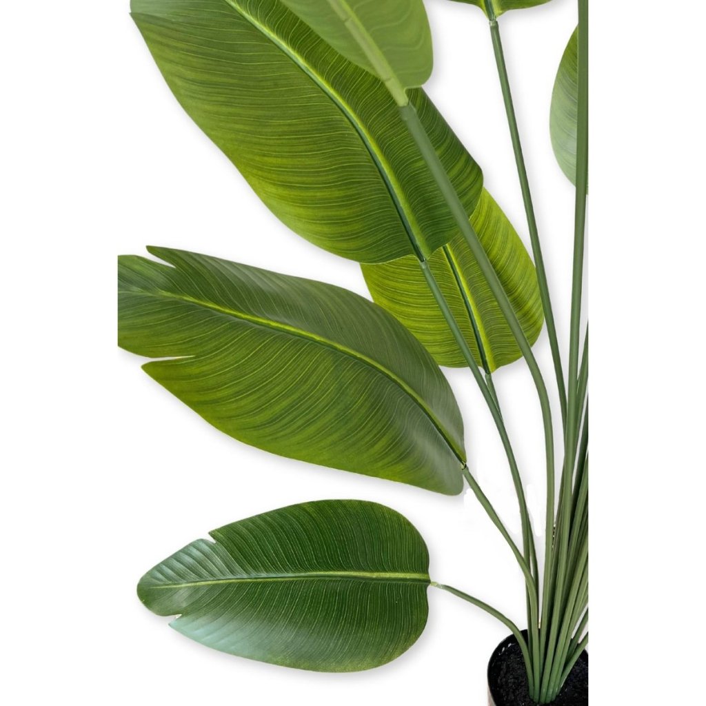 Bananenplant kunstplant 210 cm - mrshomeandgarden