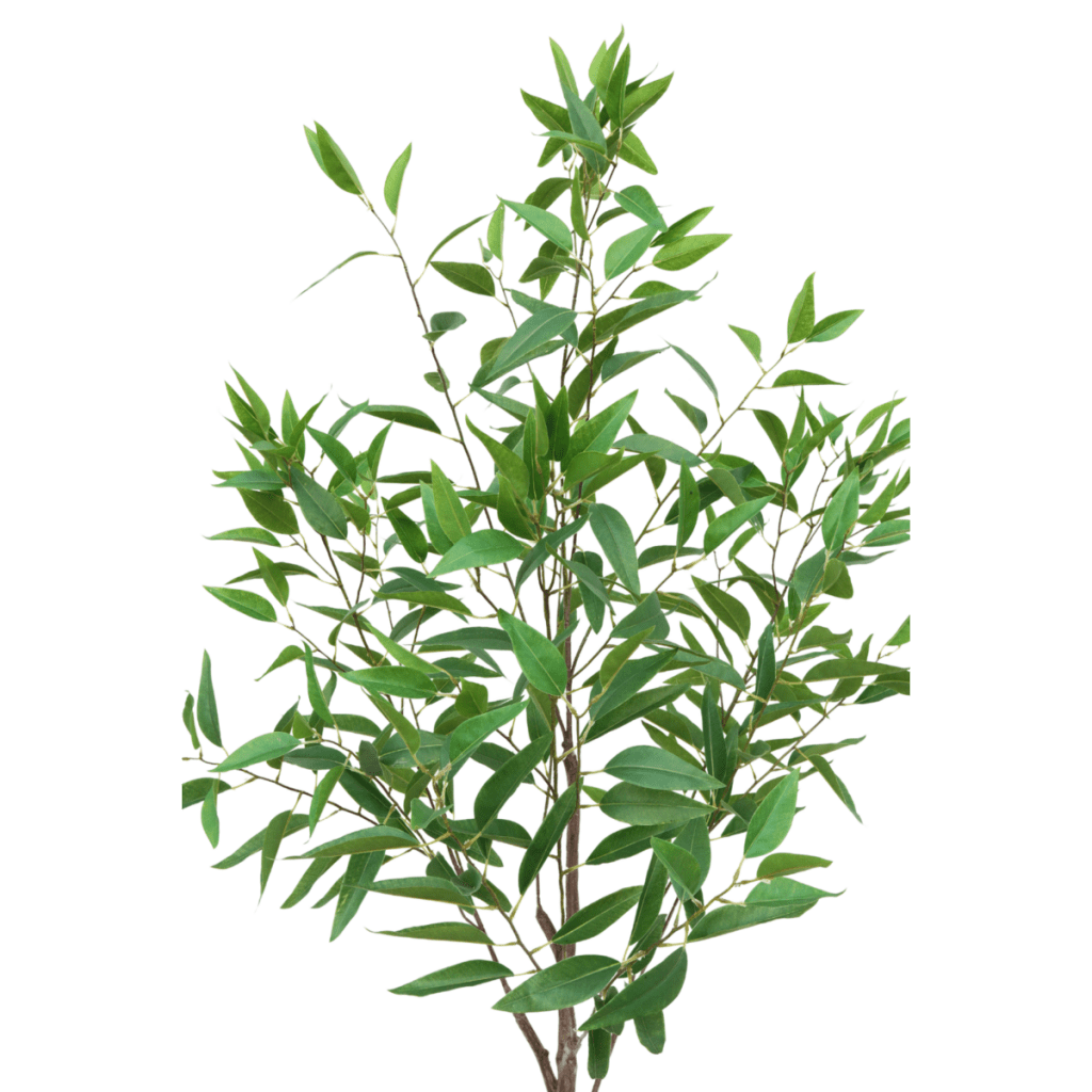 Eucalyptus kunstplant 175 cm - mrshomeandgarden