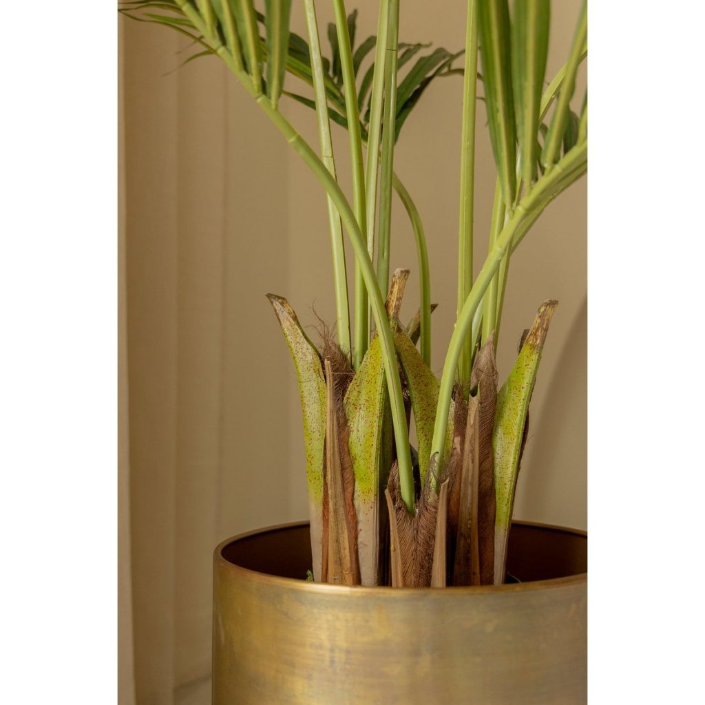 Kentia kunstpalm 180 cm - mrshomeandgarden