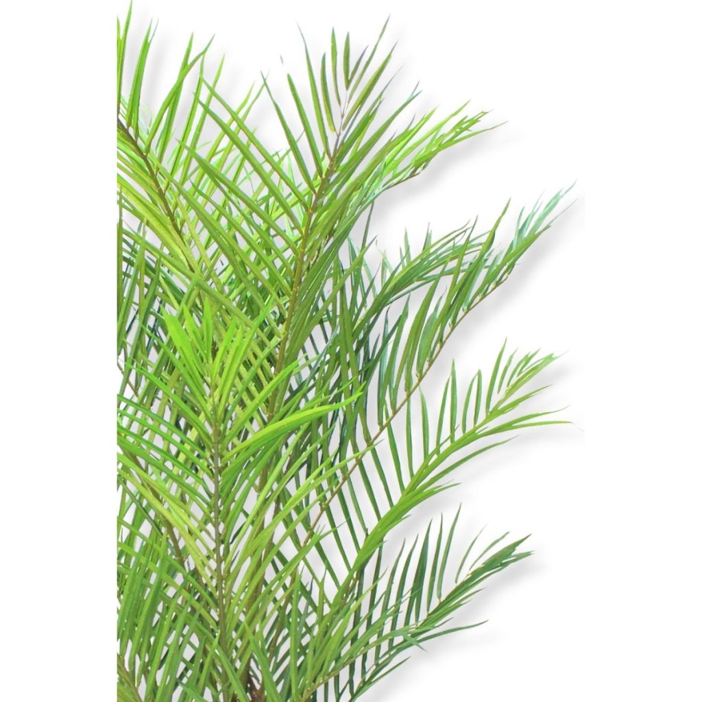 Kunstpalm 180 cm - mrshomeandgarden