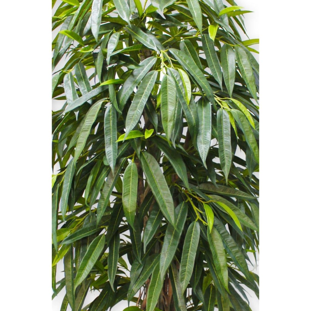 Longifolia kunstplant 180 cm - mrshomeandgarden