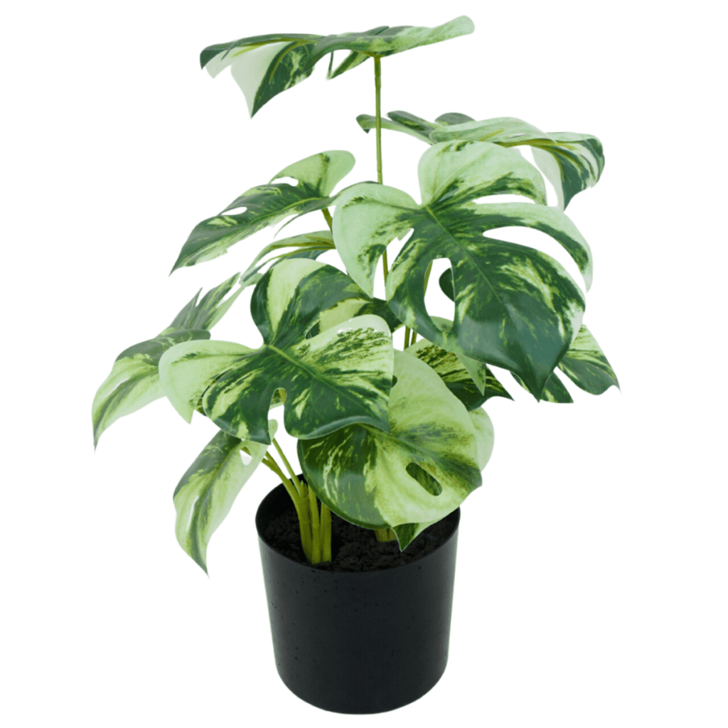 Set van 3 Monstera kunstplanten 40 cm - mrshomeandgarden