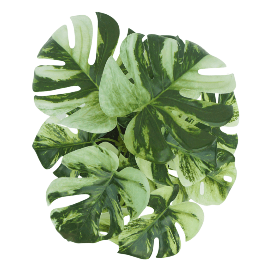 Set van 3 Monstera kunstplanten 40 cm - mrshomeandgarden