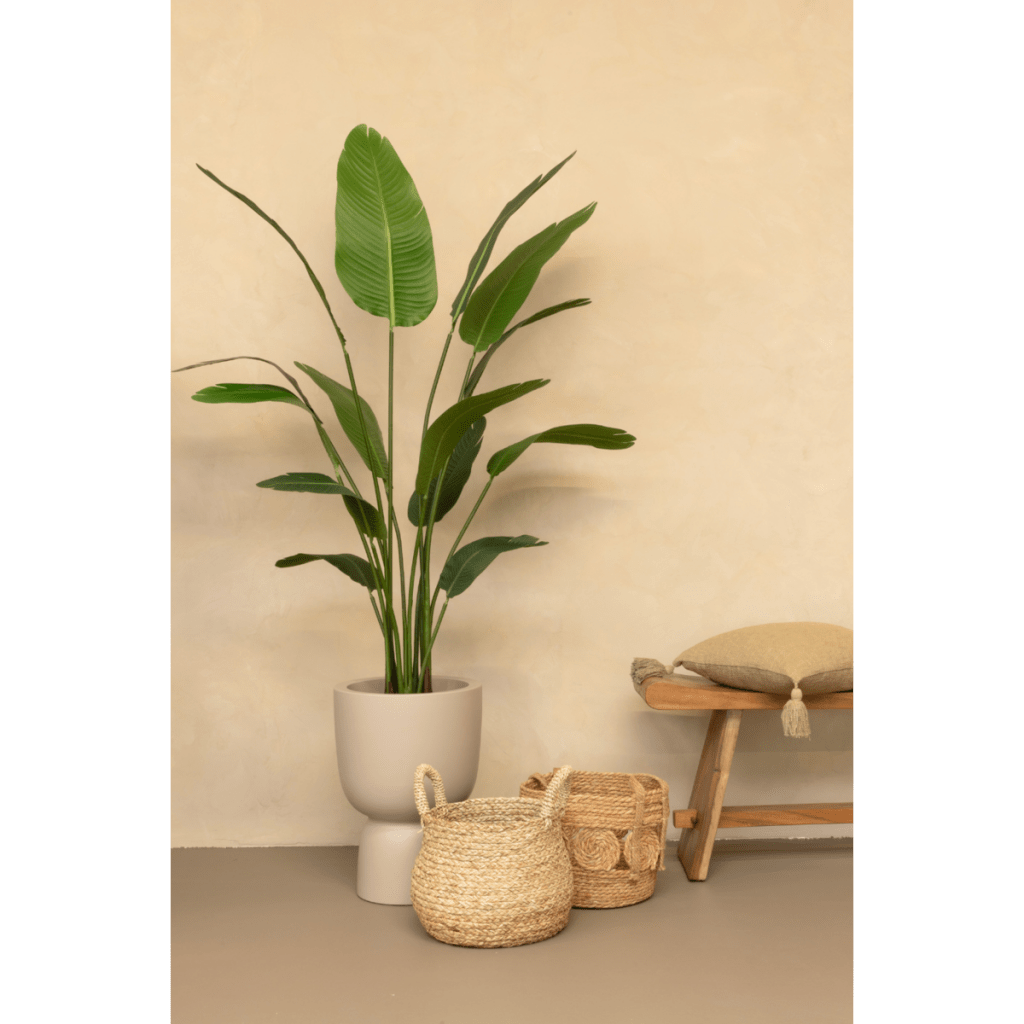 Strelitzia kunstplant 160 cm - mrshomeandgarden