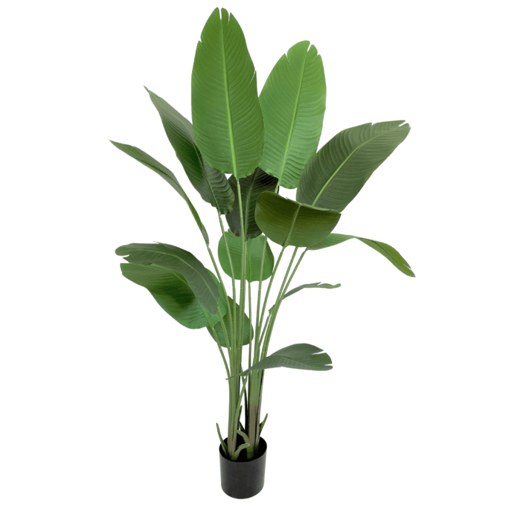 Strelitzia kunstplant 160 cm - mrshomeandgarden