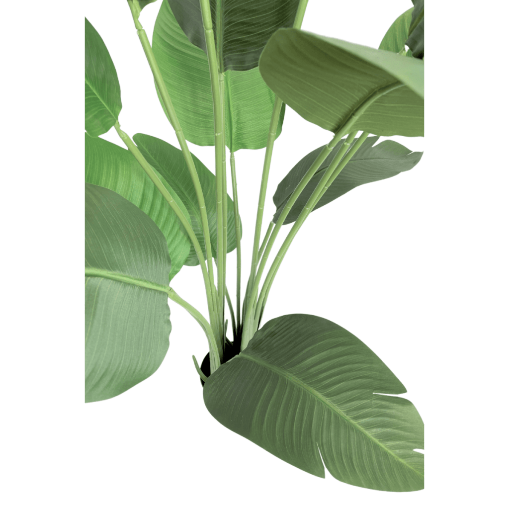 Strelitzia kunstplant 160 cm - mrshomeandgarden