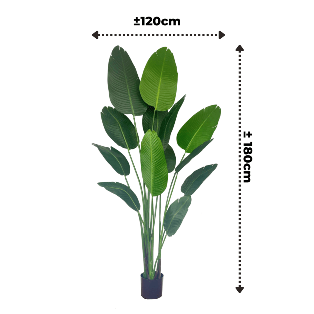 Strelitzia Kunstplant 180 cm - mrshomeandgarden