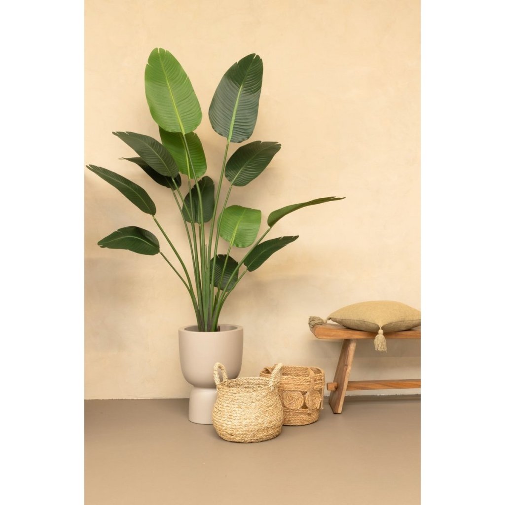 Strelitzia Kunstplant 180 cm - mrshomeandgarden