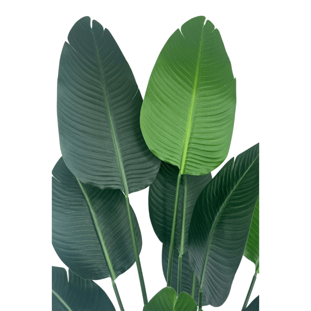 Strelitzia Kunstplant 180 cm - mrshomeandgarden