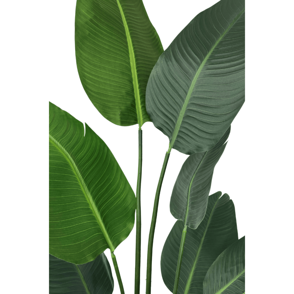 Strelitzia kunstplant 210 cm - mrshomeandgarden
