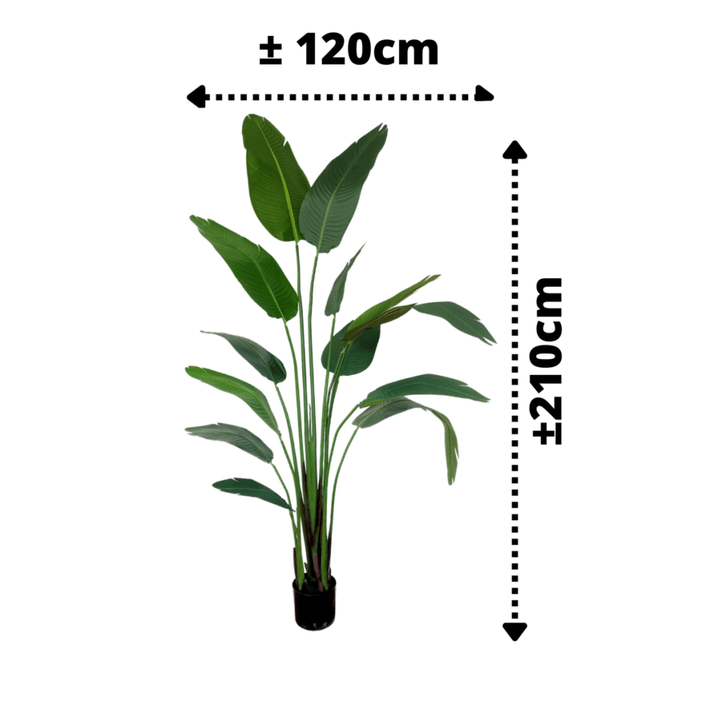 Strelitzia kunstplant 210 cm - mrshomeandgarden