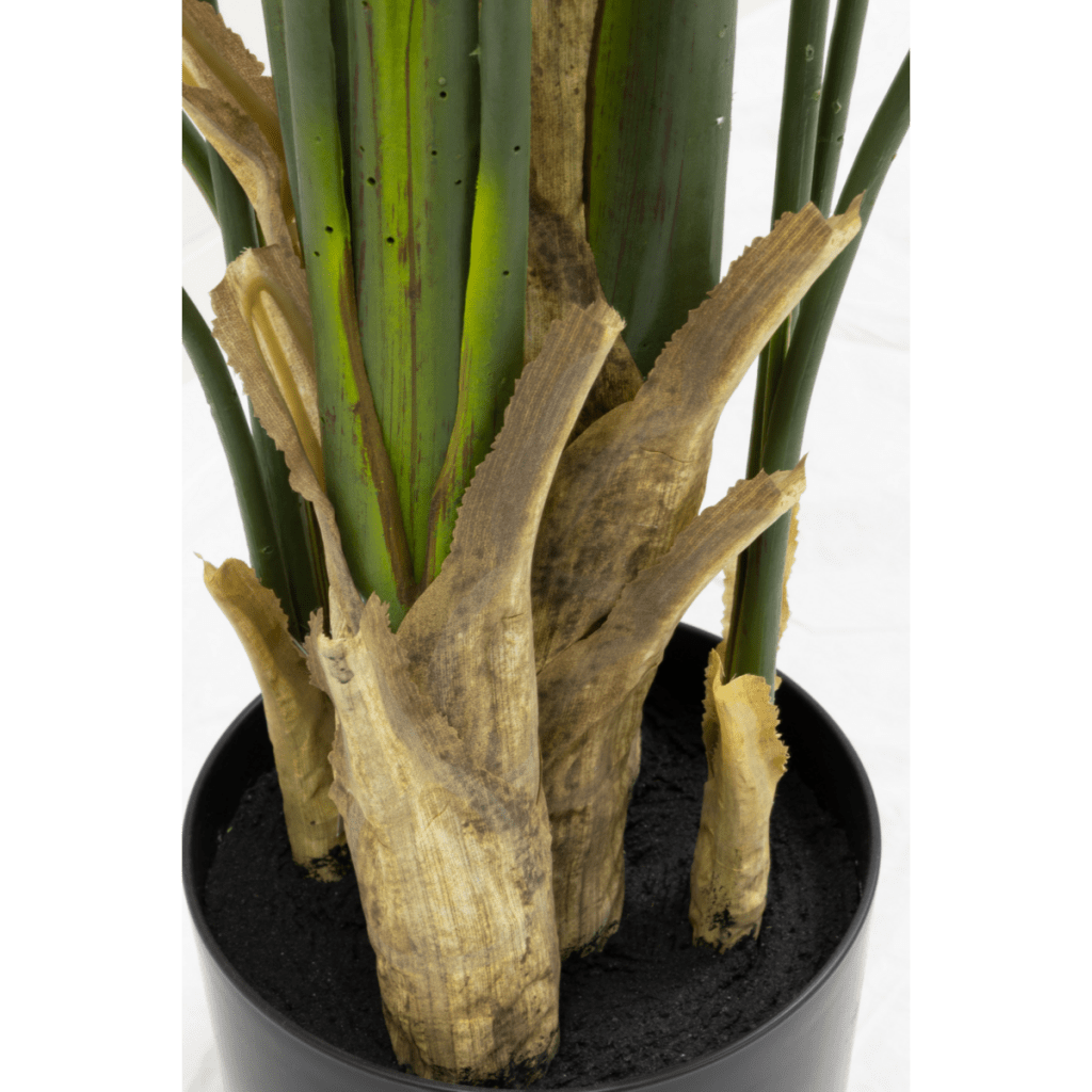 Strelitzia kunstplant 210 cm - mrshomeandgarden