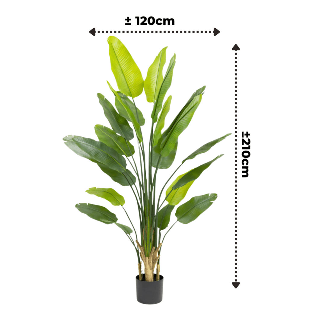 Strelitzia kunstplant 210 cm - mrshomeandgarden