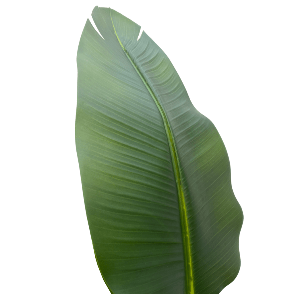 Strelitzia kunstplant 210 cm - mrshomeandgarden