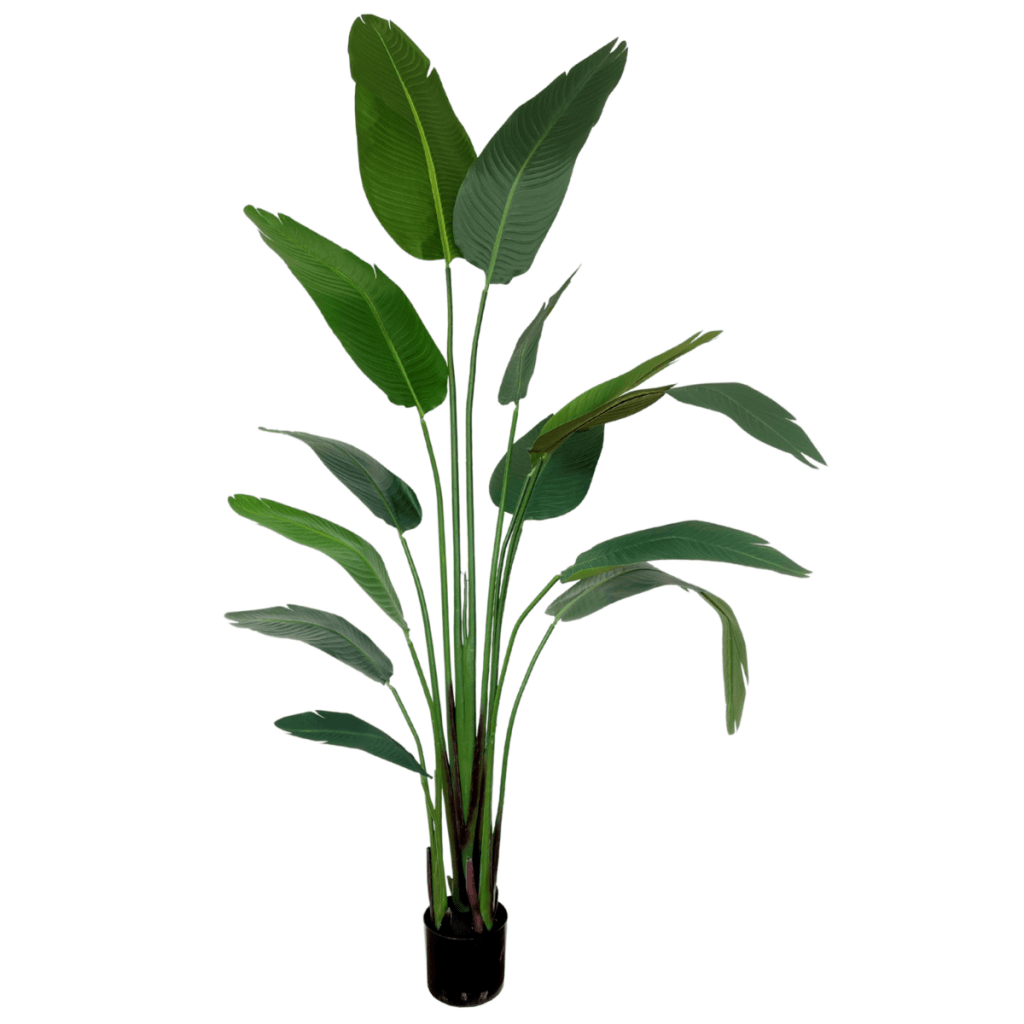 Strelitzia kunstplant 210 cm - mrshomeandgarden