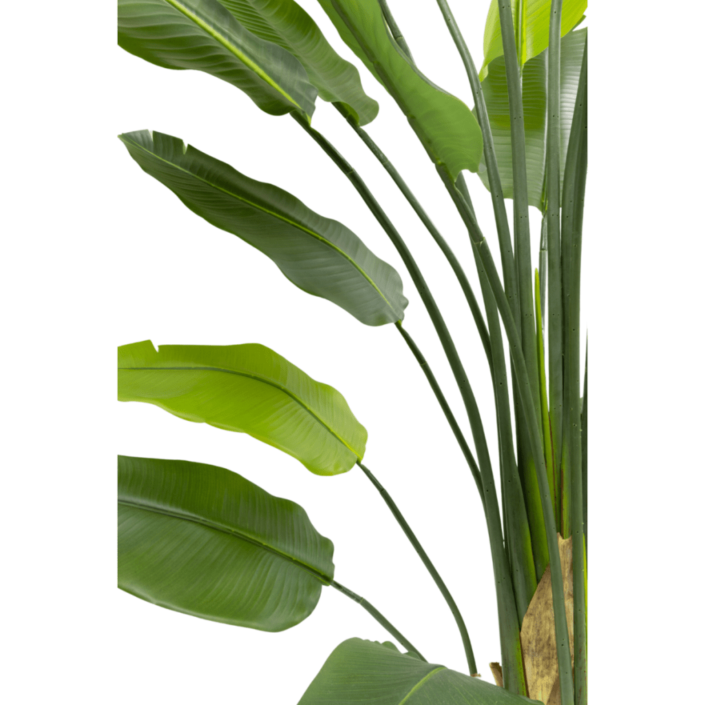 Strelitzia kunstplant 210 cm - mrshomeandgarden