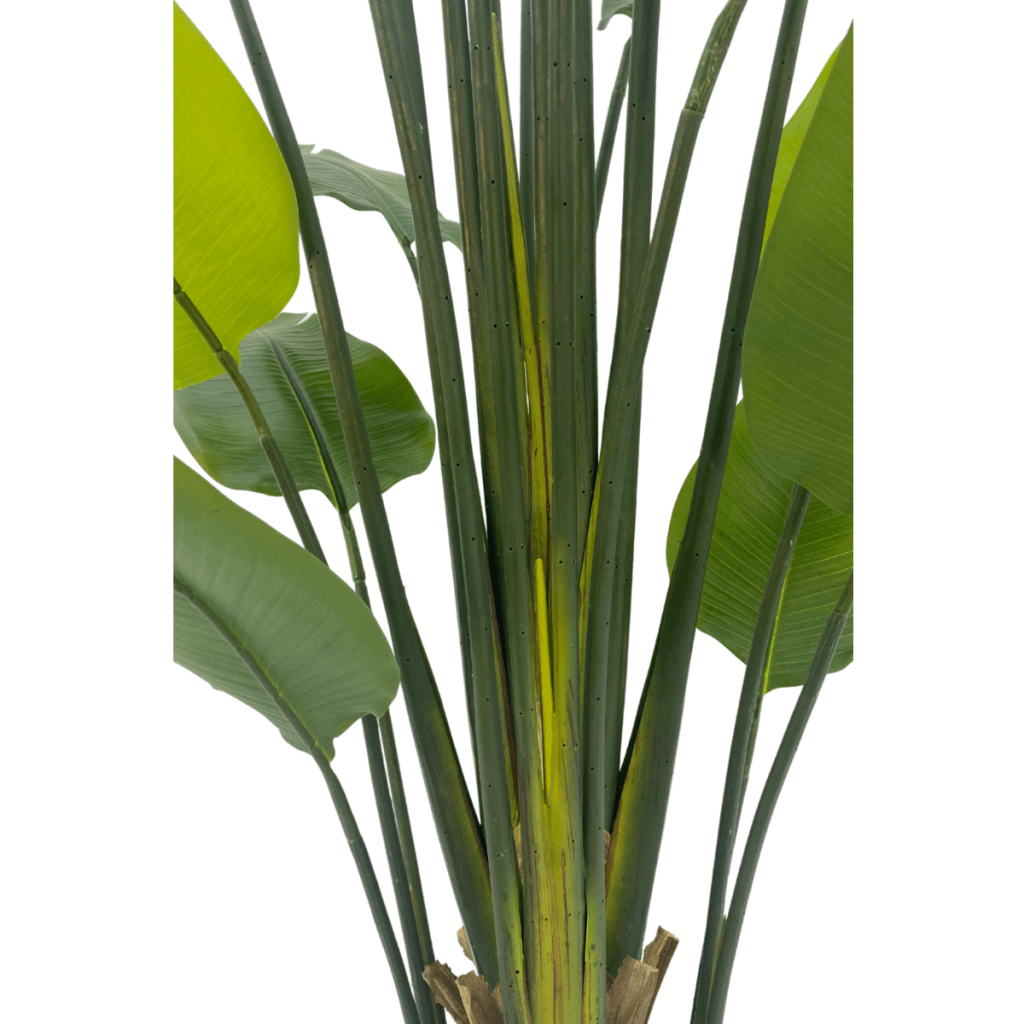 Strelitzia kunstplant 210 cm - mrshomeandgarden
