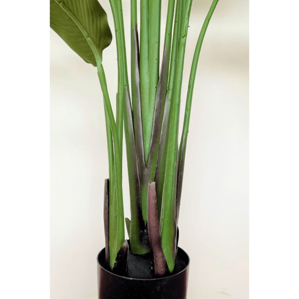 Strelitzia kunstplant 210 cm - mrshomeandgarden