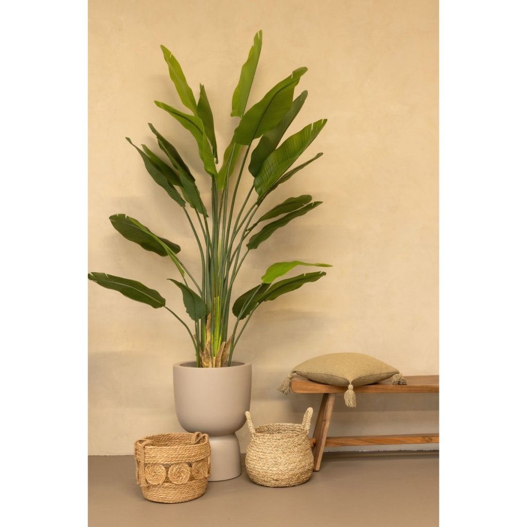 Strelitzia kunstplant 210 cm - mrshomeandgarden