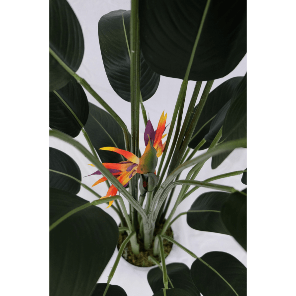 Strelitzia kunstplant met bloem 160 cm - mrshomeandgarden
