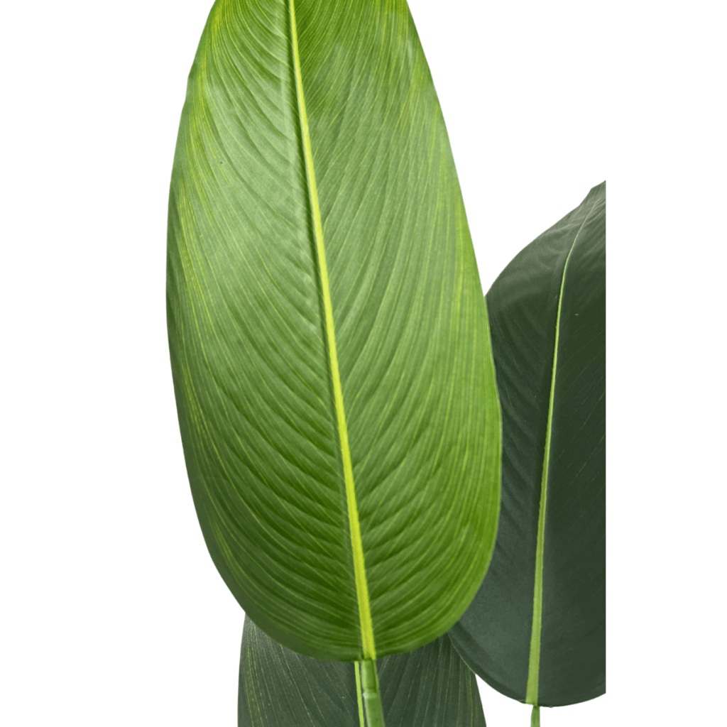 Strelitzia kunstplant met bloem 180 cm - mrshomeandgarden
