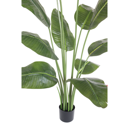 Bananenplant kunstplant 150 cm