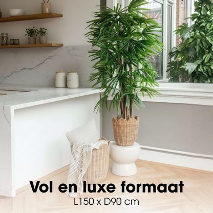 Raphis Palm kunstplant