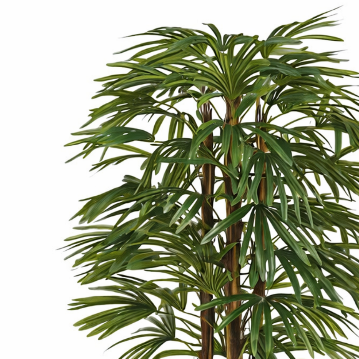 Raphis Palm kunstplant