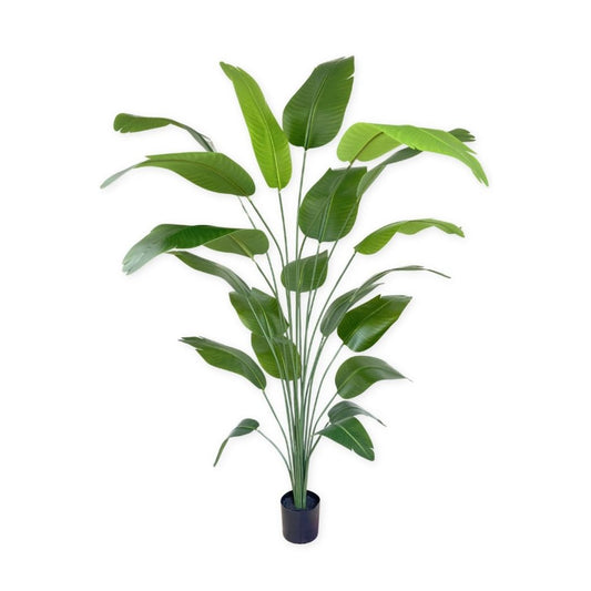 Bananenplant kunstplant 210 cm - mrshomeandgarden