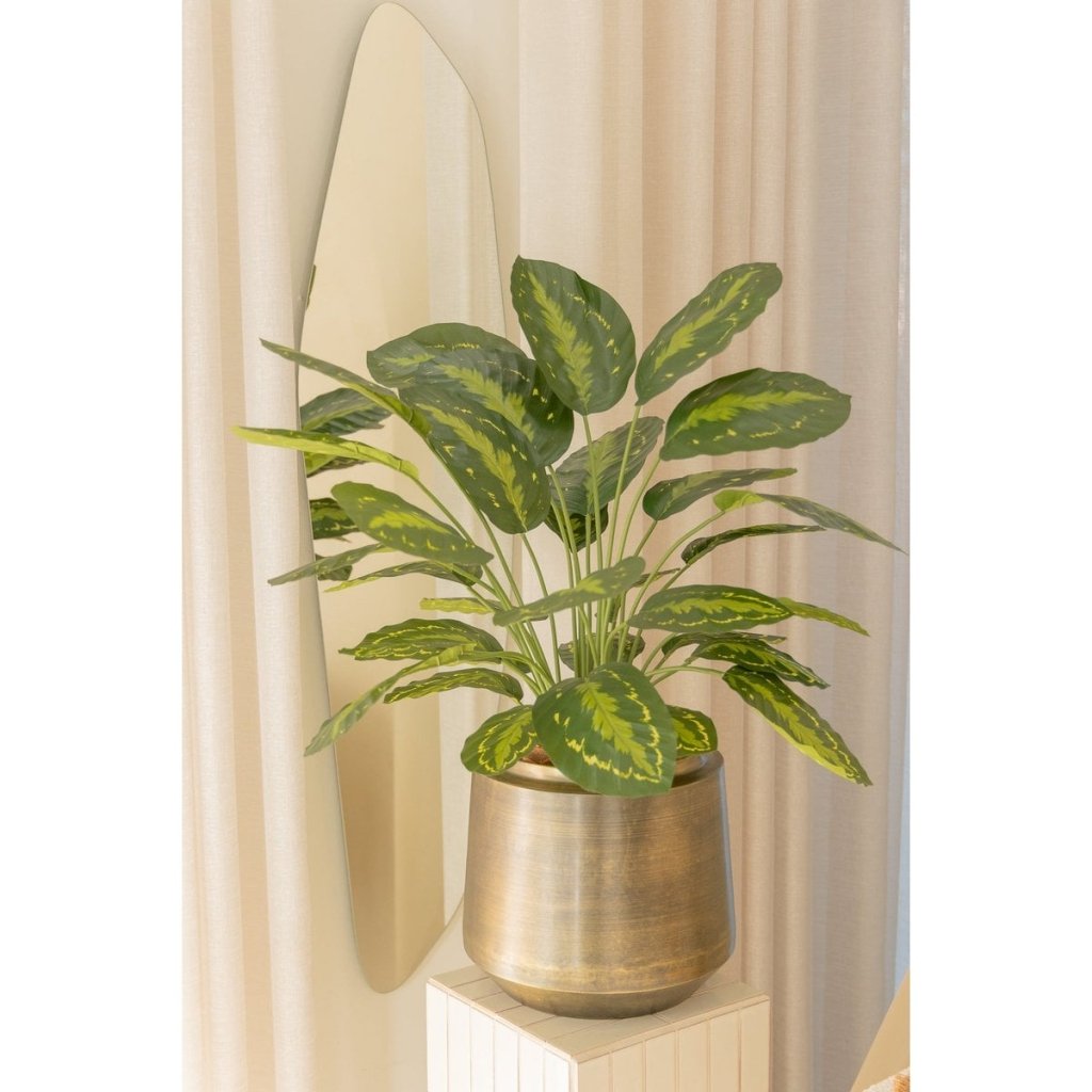 Calathea kunstplant 70 cm - mrshomeandgarden