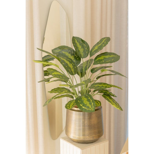 Calathea kunstplant 70 cm - mrshomeandgarden