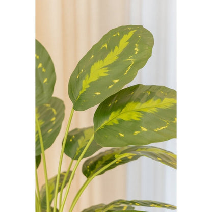 Calathea kunstplant 70 cm - mrshomeandgarden