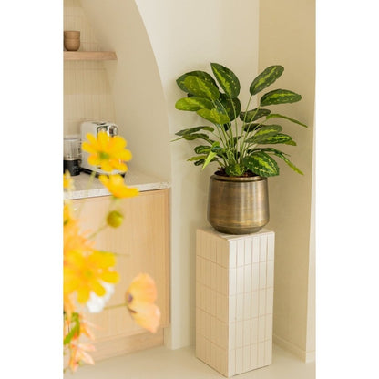 Calathea kunstplant 70 cm - mrshomeandgarden