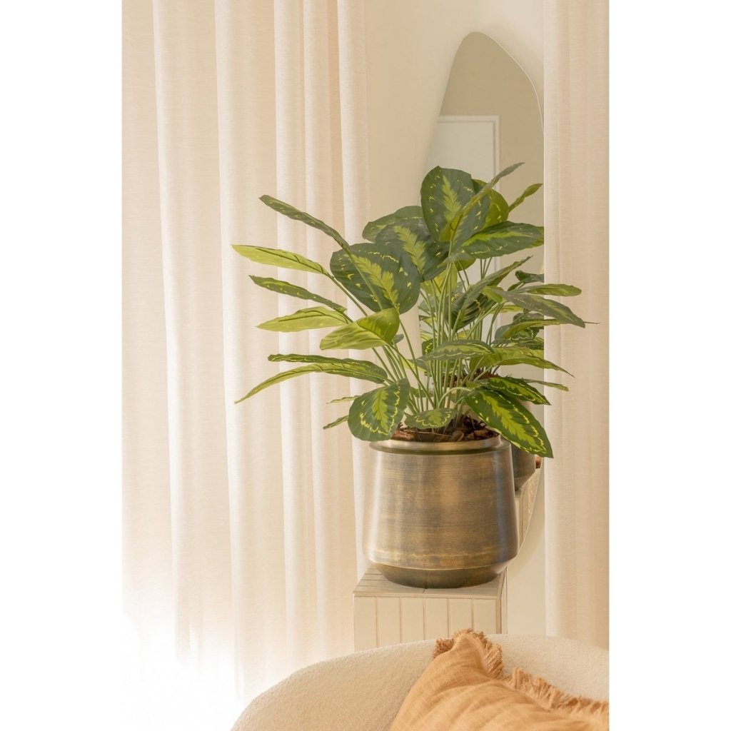 Calathea kunstplant 70 cm - mrshomeandgarden