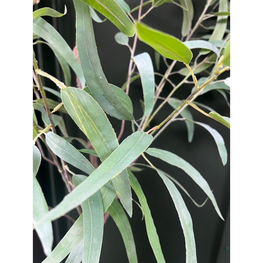 Eucalyptus kunstplant 175 cm - mrshomeandgarden