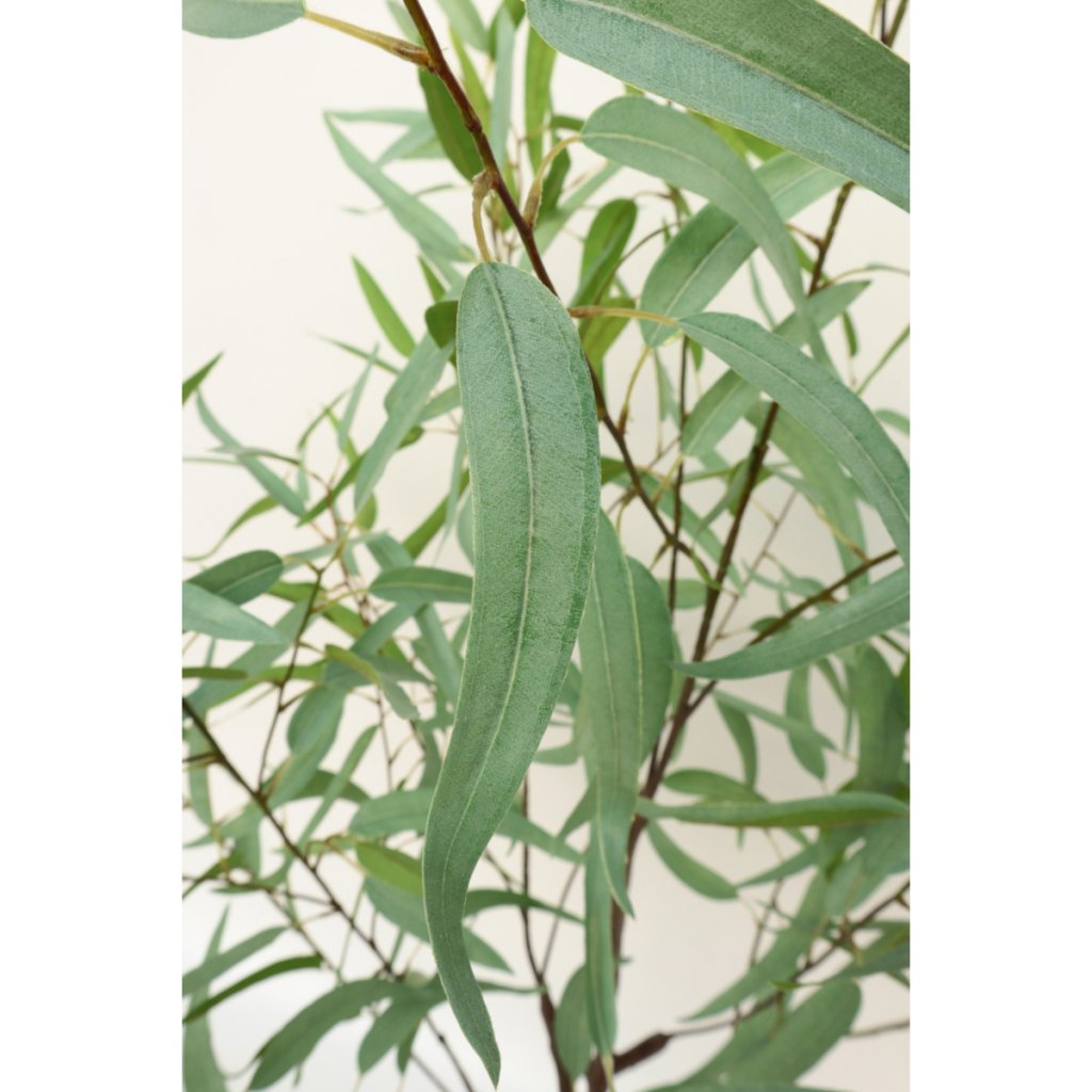 Eucalyptus kunstplant 175 cm - mrshomeandgarden