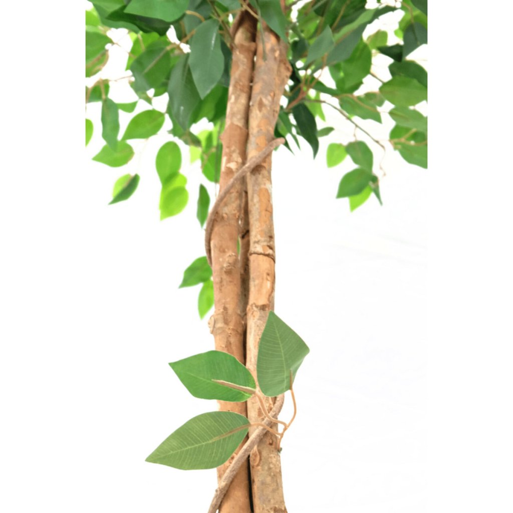 Ficus kunstboom 150 cm - mrshomeandgarden