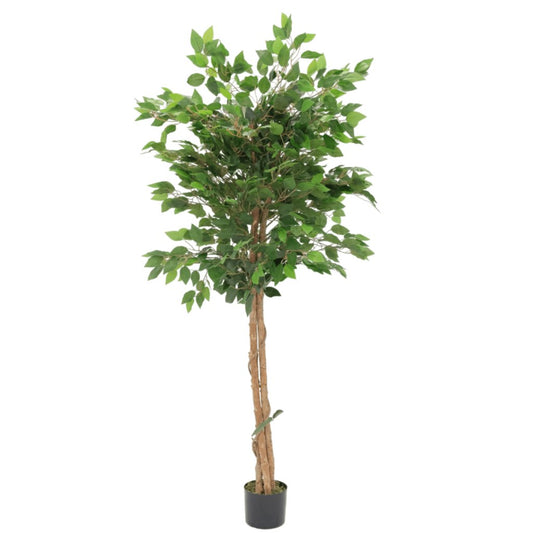 Ficus kunstboom 150 cm - mrshomeandgarden