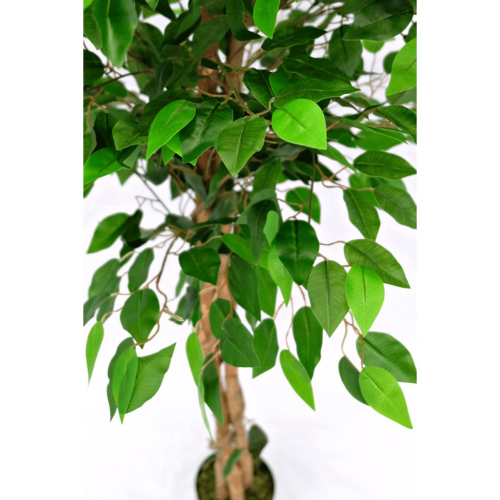 Ficus kunstboom 150 cm - mrshomeandgarden