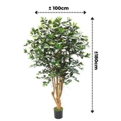 Ficus kunstplant 180 cm - mrshomeandgarden