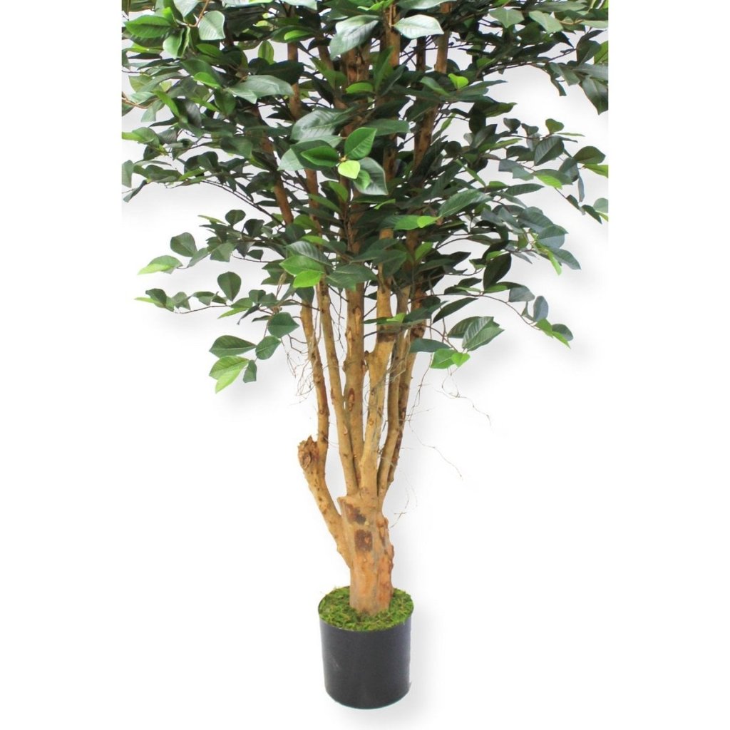 Ficus kunstplant 180 cm - mrshomeandgarden