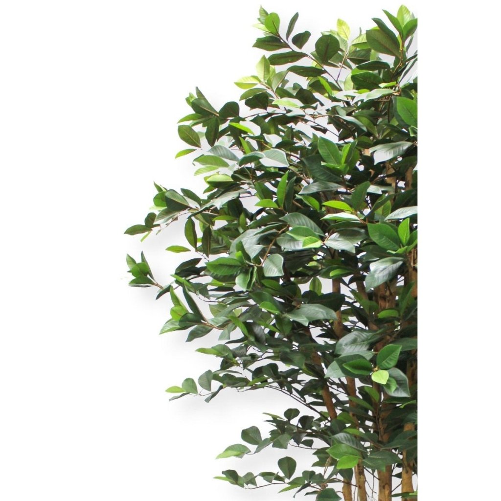 Ficus kunstplant 180 cm - mrshomeandgarden