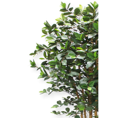 Ficus kunstplant 180 cm - mrshomeandgarden