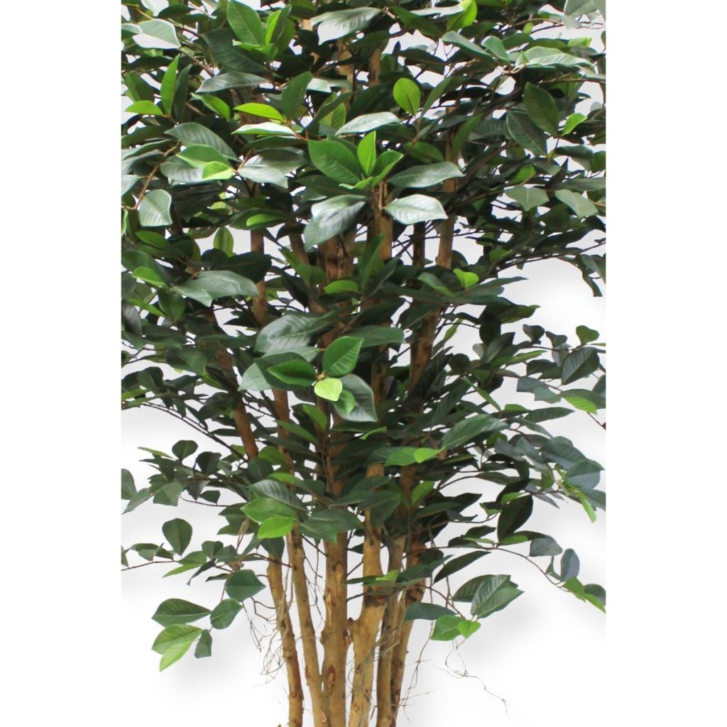 Ficus kunstplant 180 cm - mrshomeandgarden