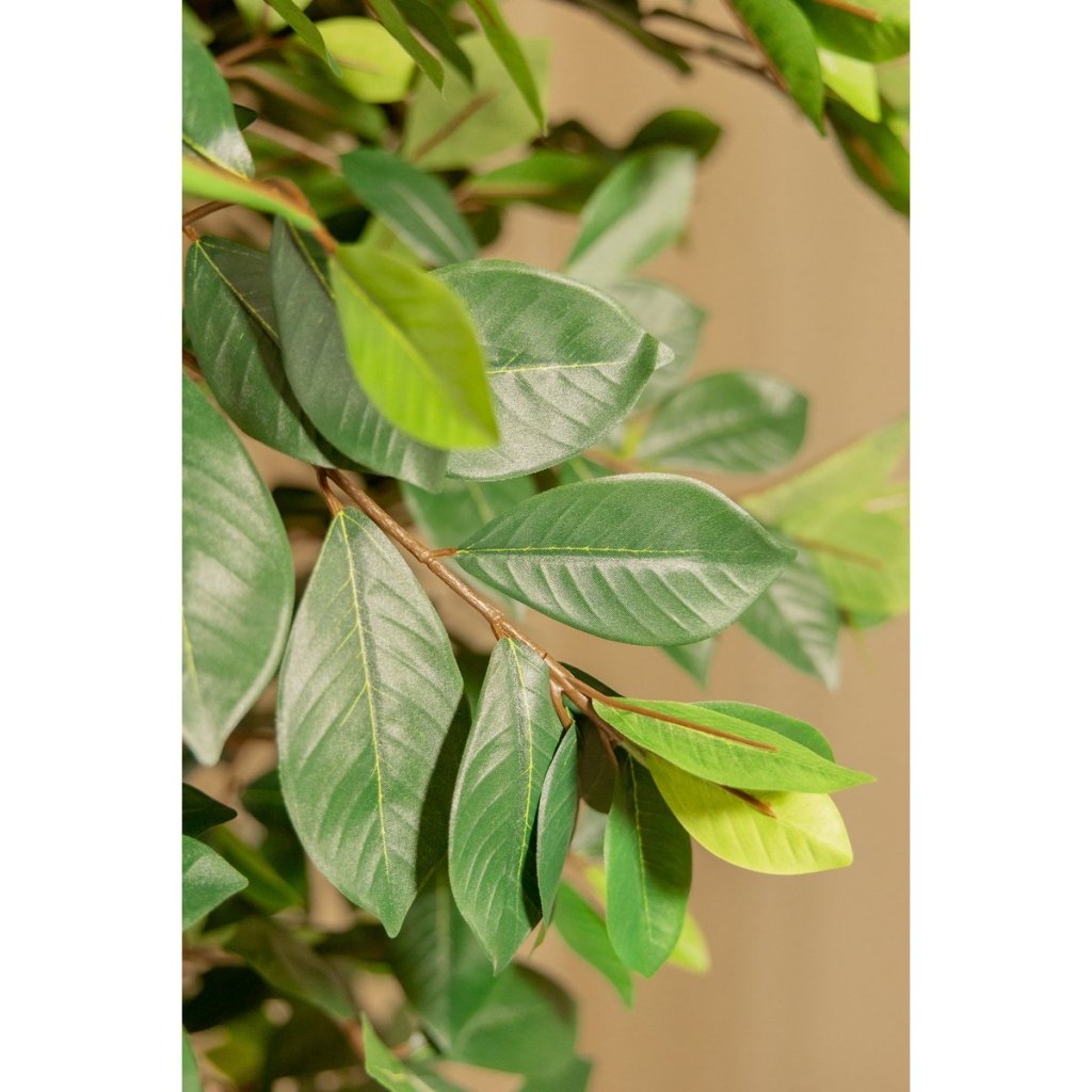 Ficus kunstplant 180 cm - mrshomeandgarden