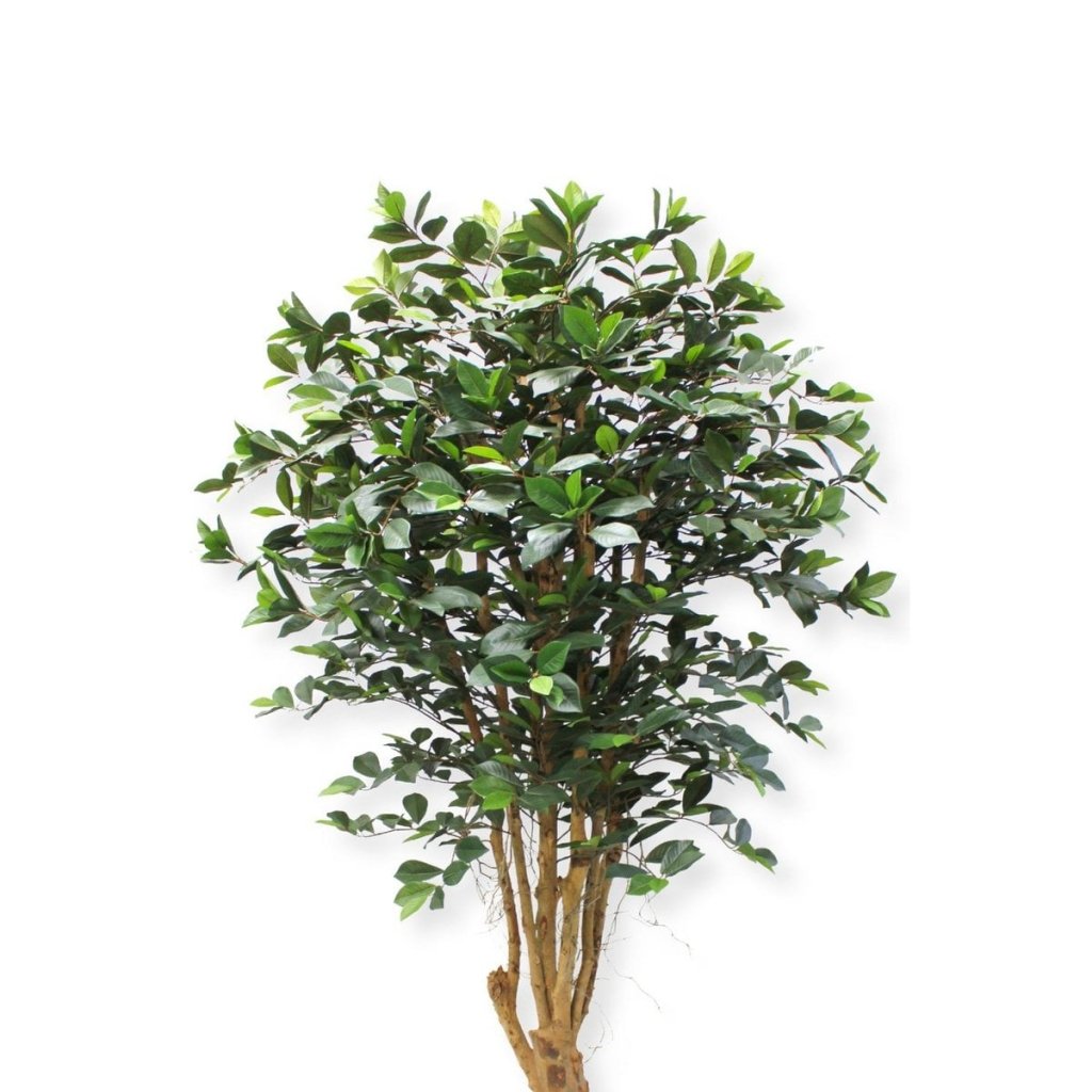 Ficus kunstplant 180 cm - mrshomeandgarden