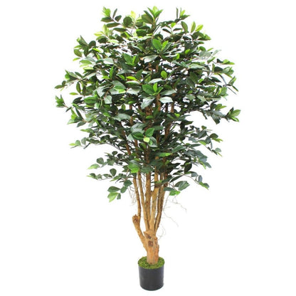 Ficus kunstplant 180 cm - mrshomeandgarden