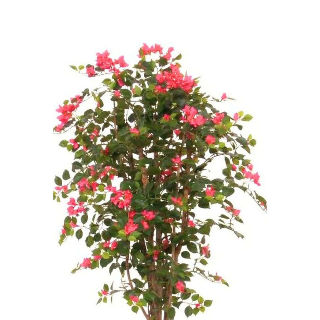 Kunst Bougainvillea 180 cm - mrshomeandgarden